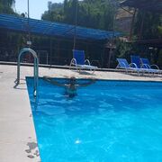 ���������� ������, ���� ������� �����, 38 ���, ������������ ��� ������, ����� � ���������