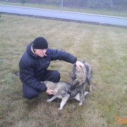 ���������� �������, ���� ������� Sasha, 41 ���, ������������ ��� ����� � ���������, c�������� ���������, ���������