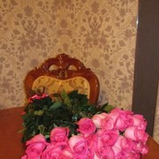  ,   , 28 ,   ,   , c 