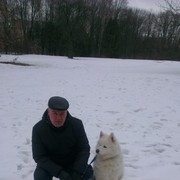   ,   , 65 ,  