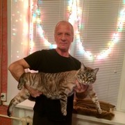 ���������� ���������, ���� ������� ��������, 65 ���, ������������ ��� ������, ����� � ���������, c�������� ���������