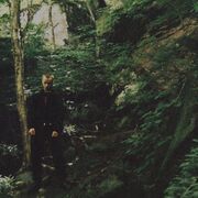 ���������� ������, ���� ������� Anzor, 28 ���, ������������ ��� ������, ����� � ���������