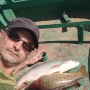 ���������� ���������, ������� ����, 47