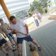  --,   Zicfrit, 53 ,   