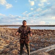 ���������� ������, ���� ������� ����, 41 ���, ������������ ��� ������, ���������