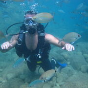 ���������� �����, ���� ������� �������, 46 ���, ������������ ��� ����� � ���������, c�������� ���������