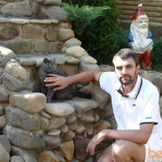  ,   , 44 ,   