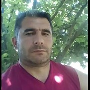  ,   , 50 ,   ,   