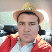 ���������� ����, ���� ������� ������, 37 ���, ������������ ��� ������, ����� � ���������, c�������� ���������, ���������