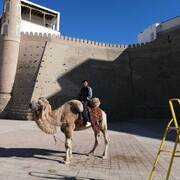 ���������� ������, ���� ������� Alex, 39 ���, ������������ ��� ������, ����� � ���������, ���������