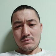  -,   , 41 ,     