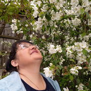  ,   , 54 ,   