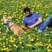 ���������� ����������, ���� ������� �������, 38 ���, ������������ ��� ������, ����� � ���������