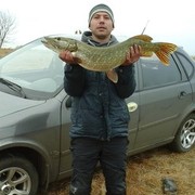 ���������� �������, ���� ������� ����, 36 ���, ������������ ��� ������, ����� � ���������, c�������� ���������