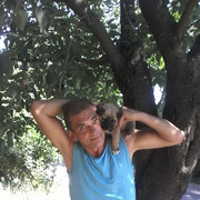 ���������� ��������, ���� ������� ����, 54 ����, ������������ ��� ������, ����� � ���������, c�������� ���������, ���������