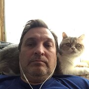  -,   , 55 ,   ,   , c , 