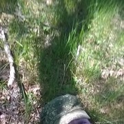 ���������� ������, ���� ������� ������, 33 ����, ������������ ��� ������, ����� � ���������, c�������� ���������