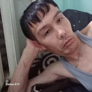  -,   , 40 ,  