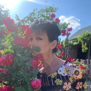  ,   , 53 ,   ,   
