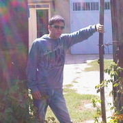  -,  hovo, 33