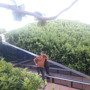 ���������� ���������, ���� ������� ���������, 49 ���, ������������ ��� ������, ����� � ���������, c�������� ���������