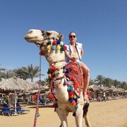 ���������� ����, ���� ������� ��������, 56 ���, ������������ ��� ���������