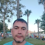  ,   , 43 ,   ,   