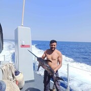  ,  Farnel, 36
