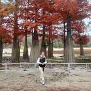 ���������� �����, ���� ������� ����������, 47 ���, ������������ ��� ������, ����� � ���������, c�������� ���������