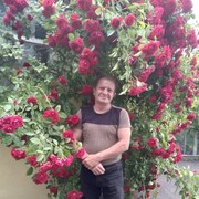  ,   , 57 ,   , c , 