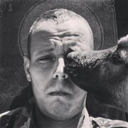  ,   , 37 ,   