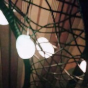 ���������� ������, ���� ������� �����, 43 ����, ������������ ��� ������, ����� � ���������, ���������