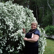 ���������� �������, ���� ������� �������, 71 ���, ������������ ��� ������, ����� � ���������, c�������� ���������