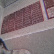   ,  Kill, 28