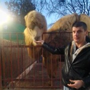 ���������� ��������, ���� ������� ������, 39 ���, ������������ ��� ������, ����� � ���������, c�������� ���������, ���������