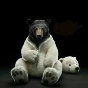 ���������� �������, ���� ������� ������, 34 ����, ������������ ��� ������, ����� � ���������