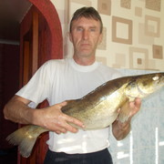  ,   , 58 ,   