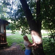 ���������� ����������, ���� ������� ��������, 43 ����, ������������ ��� c�������� ���������, ���������