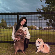 ���������� ���, ����