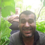  ,   , 43 ,   ,   