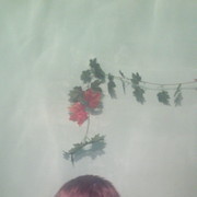 ���������� �����, ���� ������� ���������, 40 ���, ������������ ��� ������, ����� � ���������, c�������� ���������