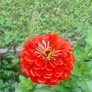  ,   , 57 ,     , c , 