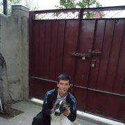 ���������� ������, ���� ������� Almaz, 50 ���, ������������ ��� ������, ����� � ���������, c�������� ���������