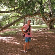 ���������� ������, ���� ������� ������, 46 ���, ������������ ��� ������, ����� � ���������