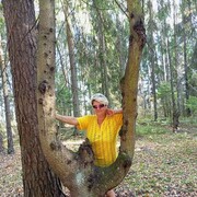  ,   , 53 ,     , 