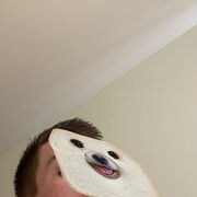 ���������� �����������, ���� ������� Nikitao, 26 ���, ������������ ��� ���������