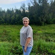 ���������� �����������, ���� ������� �������, 48 ���, ������������ ��� c�������� ���������