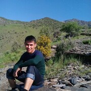  ,   , 31 ,   ,   