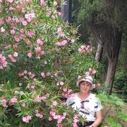  ,   , 60 ,   c 