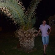 ���������� ������, ���� ������� ������, 41 ���, ������������ 